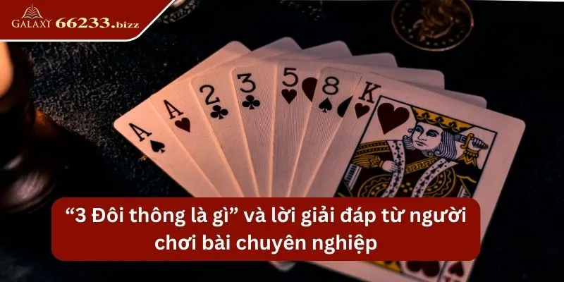 “3 Đôi Thông Là Gì” Và Lời Giải Từ Người Chơi Chuyên Nghiệp