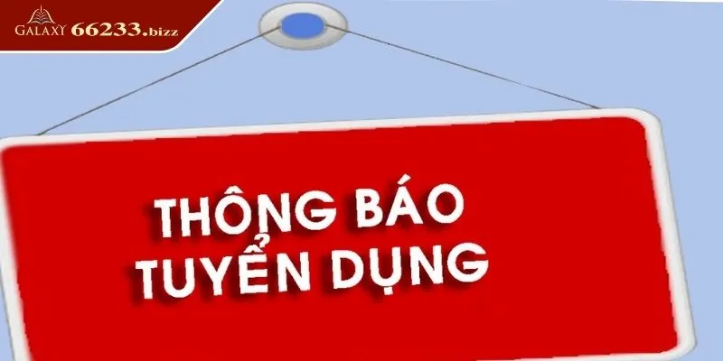 Tuyển dụng 6623 - Các vị trí được đề xuất